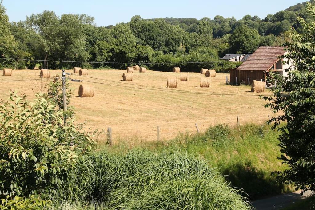 Le Haut Mesnil-3 Bed & Breakfast エクステリア 写真